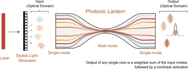 schematic representation of a photonic lantern