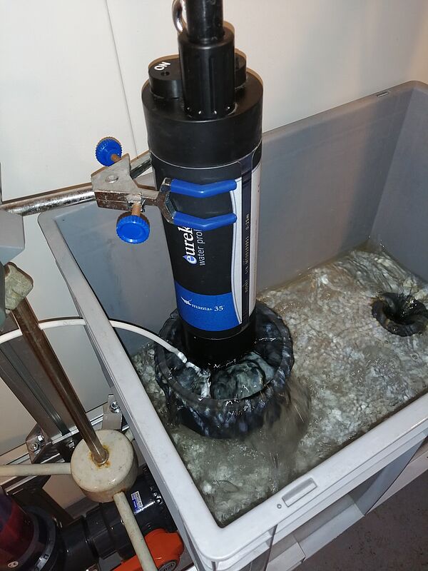 Vu de la sonde multiparamètres dans sa cuve à débordement